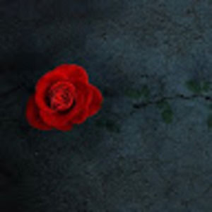 Meet your Posher, Super